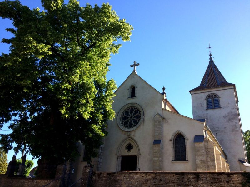 Eglise et tilleul Fresne.JPG